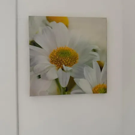 Casa Simonetta Apartment *